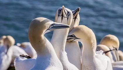 开云体育俱乐部官网-【潮流战术】以“高投打”策略引领联赛新风，高投入是什么意思