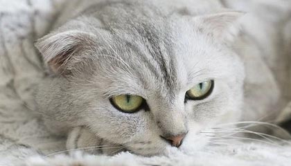 开云网页版-“青训合作联盟成果显著，青少年潜能不断被挖掘”，青训lya